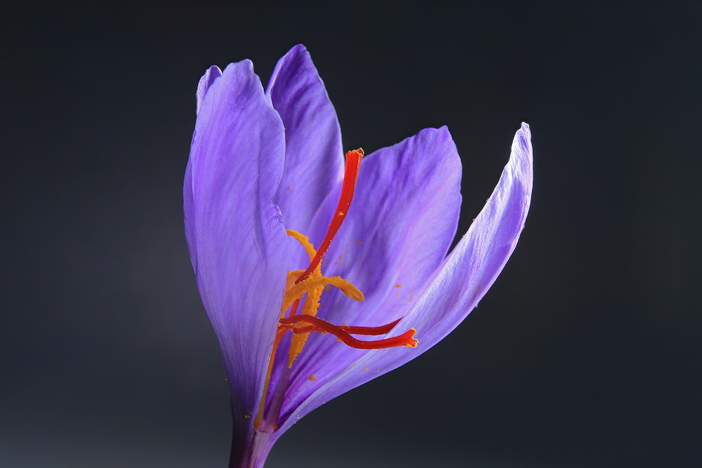 Saffron